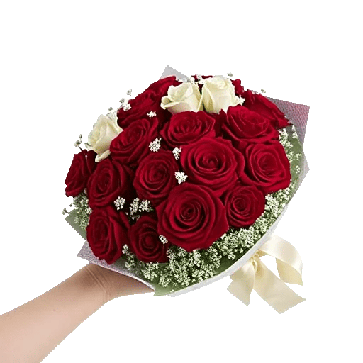 Blushing Rose Symphony