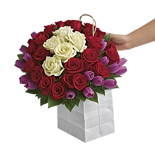 Crimson Rose Elegance