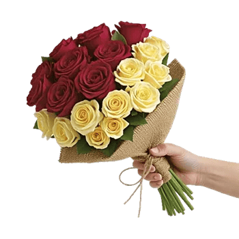 Crimson Rose Elegance