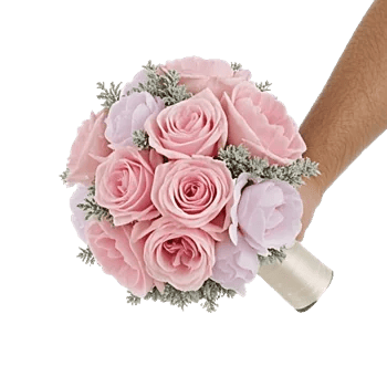 Pastel Pink Roses