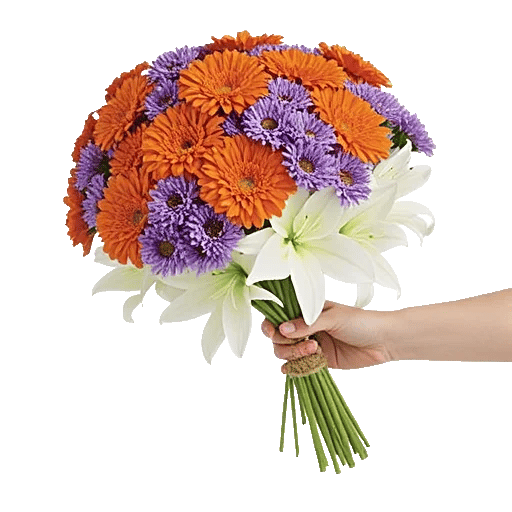 Vibrant Orange Delight