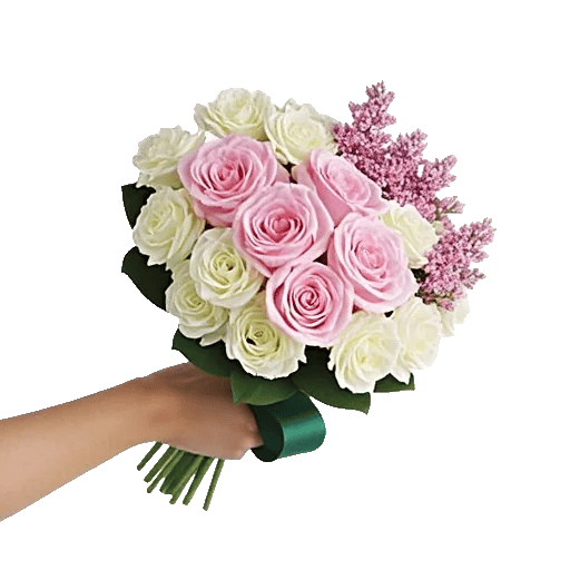 Pastel Pink Roses