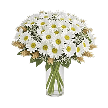 Ivory Blossom Radiance