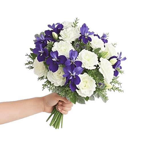 Ivory Garden Grace