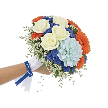 Serene Petal Harmony