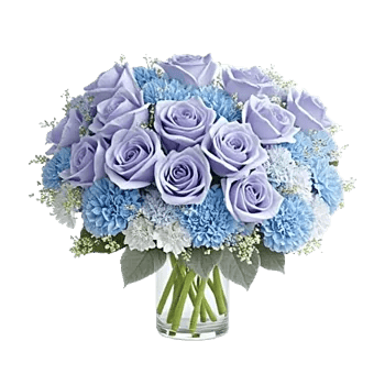 Elegant Blue Roses