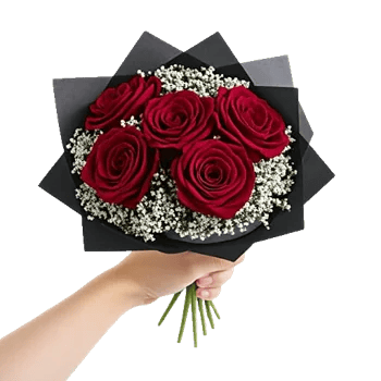 Crimson Rose Elegance