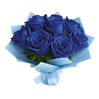 Elegant Blue Roses