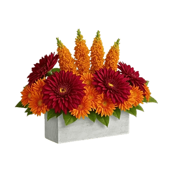Ruby Petal Cascade