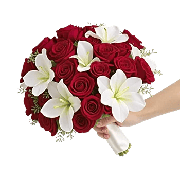 Blushing Rose Symphony