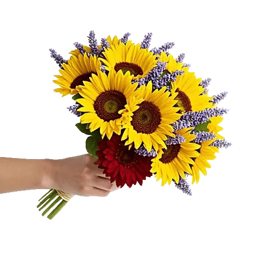 Radiant Bloom Cascade