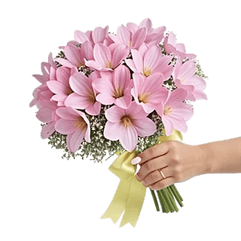 Blossom Petal Serenity