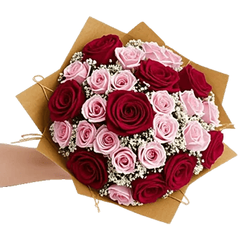 Crimson Rose Elegance
