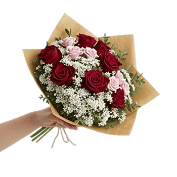 Crimson Rose Elegance