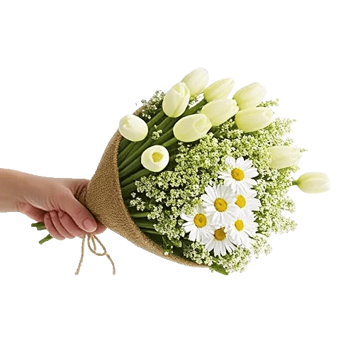 Blossom Harmony Display