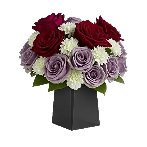 Crimson Blossom Harmony