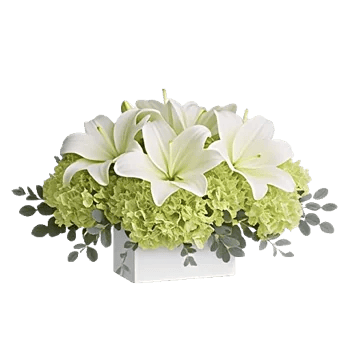 Graceful Lily Display