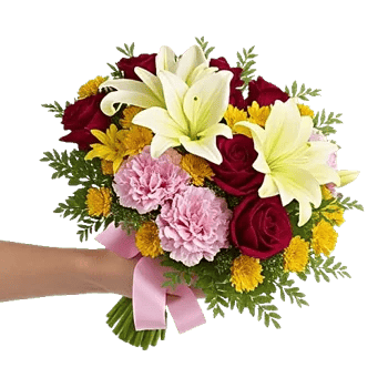 Blushing Rose Symphony