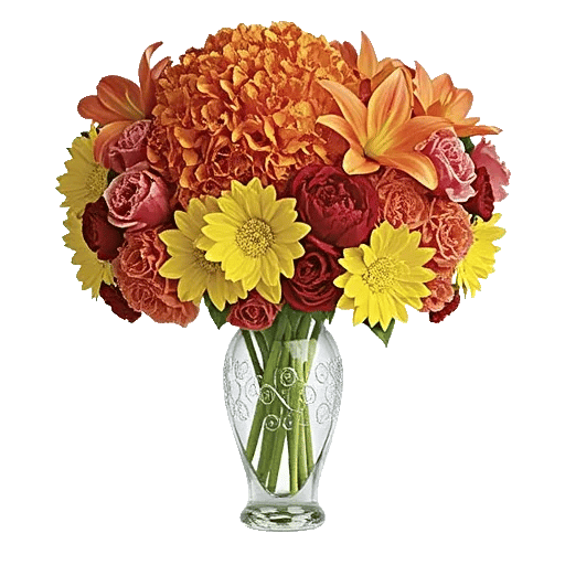 Petal Radiance Bliss