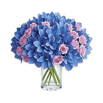Sapphire Bloom Whisper