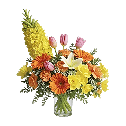 Petal Radiance Bliss
