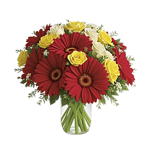 Petal Radiance Bliss