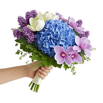 Serene Petal Harmony