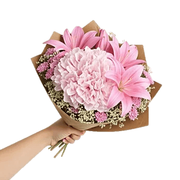 Serene Petal Harmony