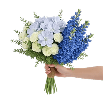 Sapphire Bloom Whisper