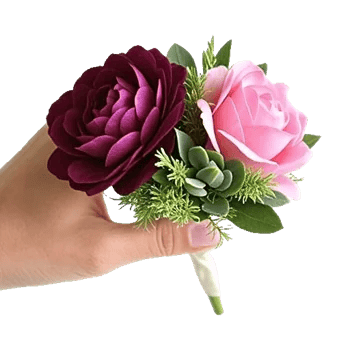 Plum Blossom Radiance