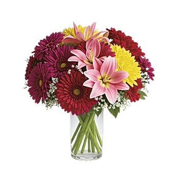 Petal Radiance Bliss