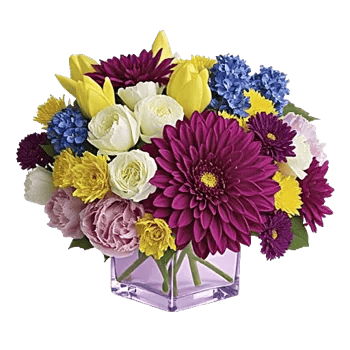 Petal Radiance Bliss