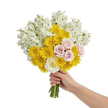 Blossom Harmony Display