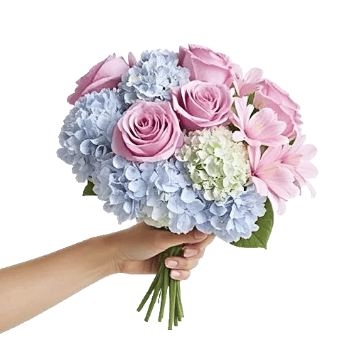 Serene Petal Harmony