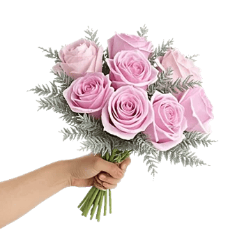 Pastel Pink Roses
