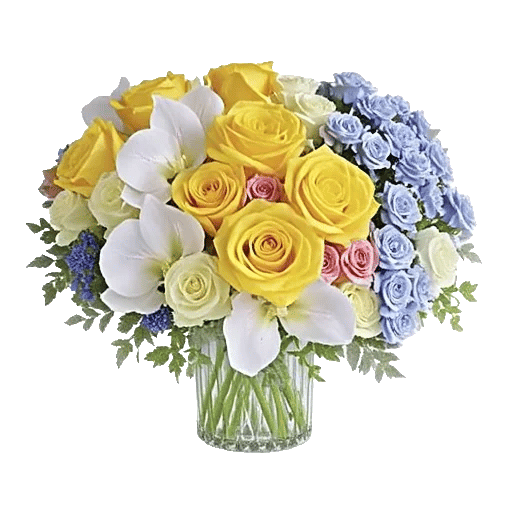 Glistening Rose Garden