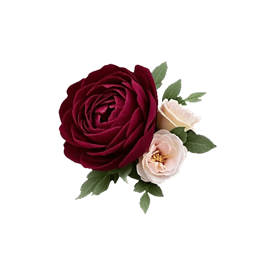 Delicate Petal Cascade