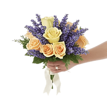 Rosemary Bloom Elegance