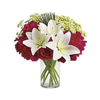 Petal Radiance Bliss