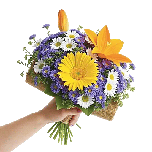 Petal Harmony Bliss