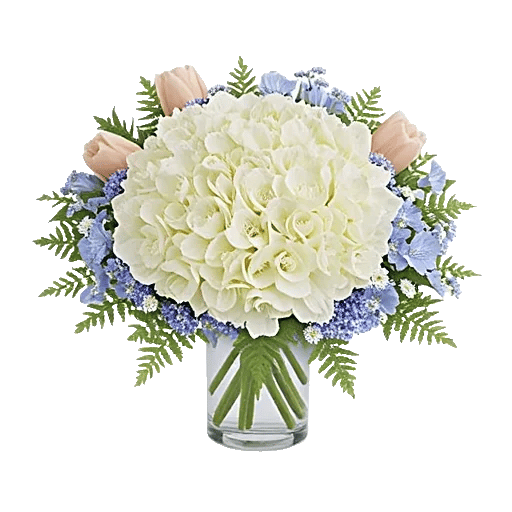 Sapphire Bloom Whisper