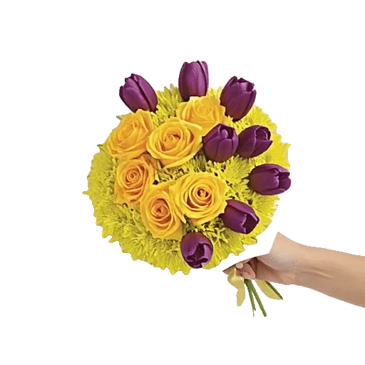 Blossom Harmony Display