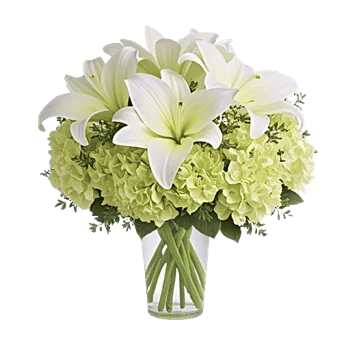 Ivory Blossom Radiance