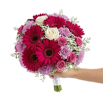 Petal Harmony Bliss