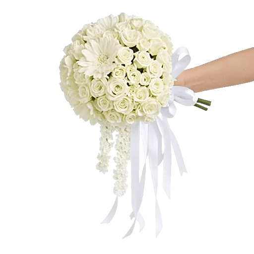 Delicate Petal Cascade