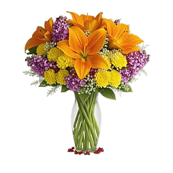 Petal Radiance Bliss