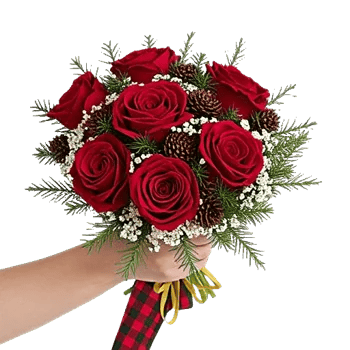 Crimson Rose Elegance