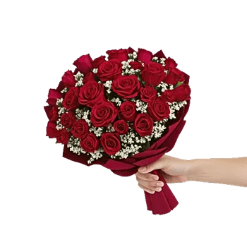 Crimson Rose Elegance