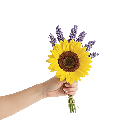 Twinkling Sunflower Dance