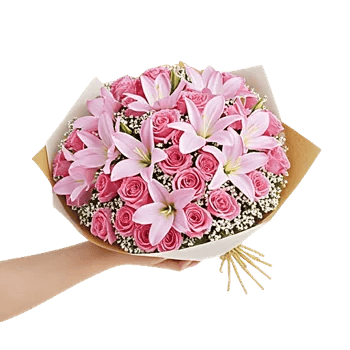 Blushing Rose Symphony